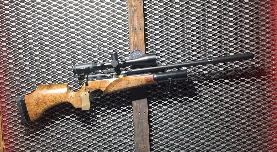 BSA R10 .22